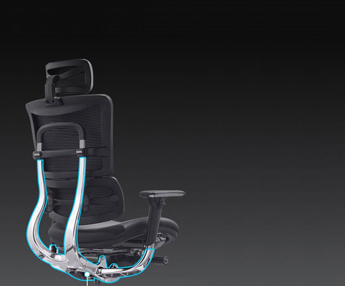 Why are ergonomic chairs so OFZCHAIR